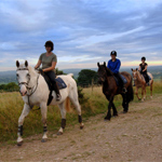 Horse Riding Day in Scotland