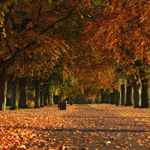 northamptonshire
