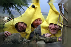 gobananas-teamx250